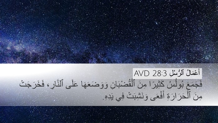 أَعْمَالُ ٱلرُّسُلِ 28:3 AVD Bible Verse Image