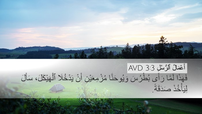 أَعْمَالُ ٱلرُّسُلِ 3:3 AVD Desktop Wallpaper - فَهَذَا لَمَّا رَأَى - Desktop Bible Verse Wallpaper