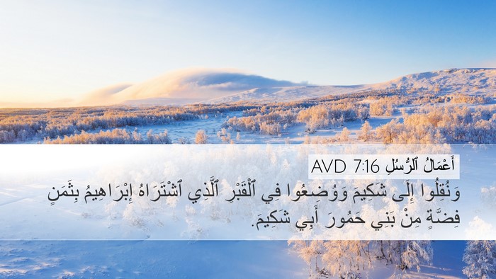 أَعْمَالُ ٱلرُّسُلِ 7:16 AVD Bible Verse Image