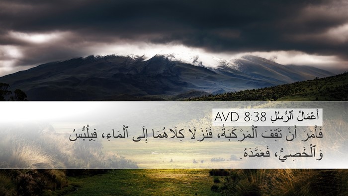 أَعْمَالُ ٱلرُّسُلِ 8:38 AVD Desktop Wallpaper - فَأَمَرَ أَنْ تَقِفَ - Desktop Bible Verse Wallpaper