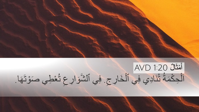 أَمْثَالٌ 1:20 AVD Bible Verse Image