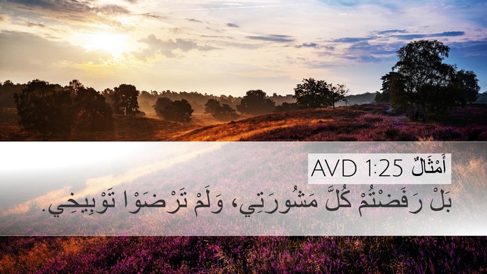 أَمْثَالٌ 1:25 AVD Bible Verse Image