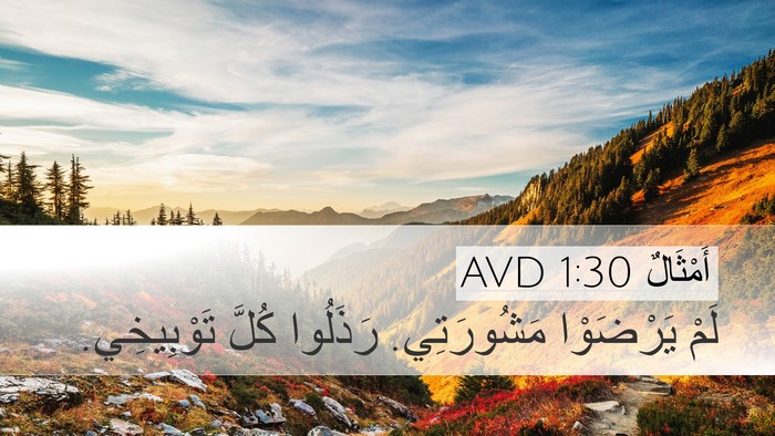 أَمْثَالٌ 1:30 AVD Bible Verse Image