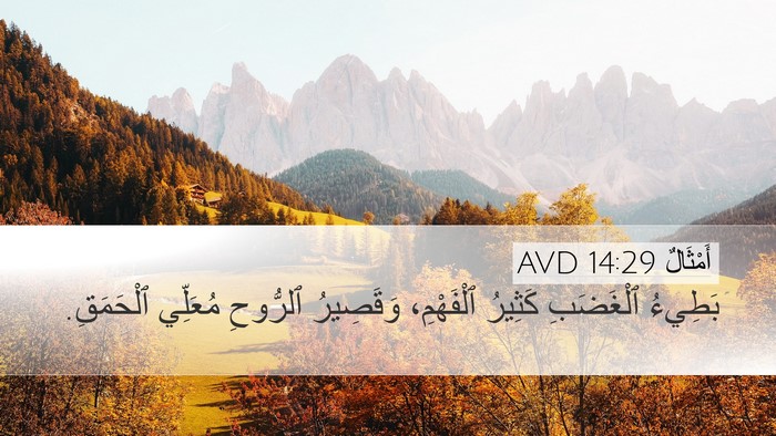 أَمْثَالٌ 14:29 AVD Bible Verse Image