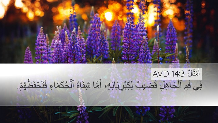 أَمْثَالٌ 14:3 AVD Bible Verse Image