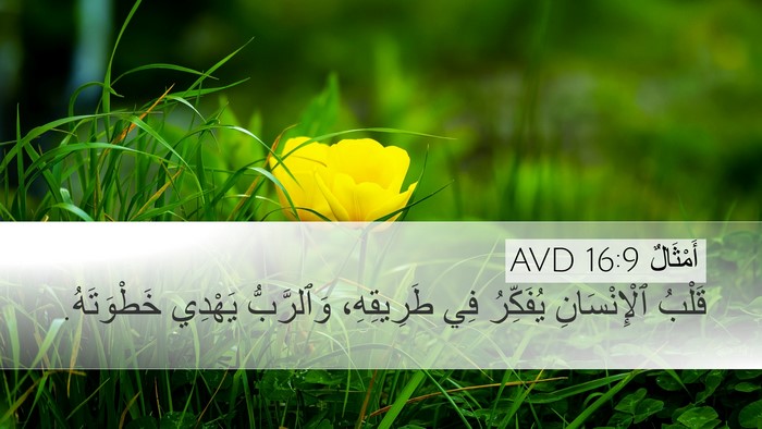 أَمْثَالٌ 16:9 AVD Bible Verse Image