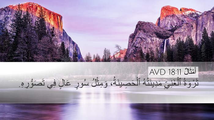 أَمْثَالٌ 18:11 AVD Bible Verse Image