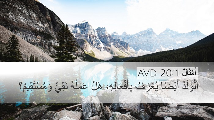أَمْثَالٌ 20:11 AVD Desktop Wallpaper - اَلْوَلَدُ أَيْضًا - Desktop Bible Verse Wallpaper