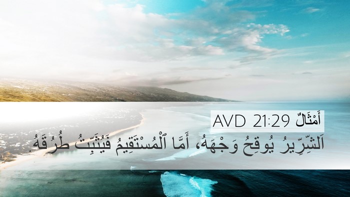 أَمْثَالٌ 21:29 AVD Bible Verse Image