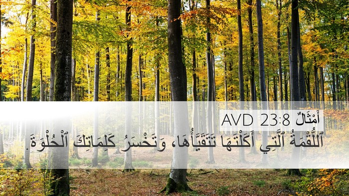 أَمْثَالٌ 23:8 AVD Desktop Wallpaper - ٱللُّقْمَةُ ٱلَّتِي - Desktop Bible Verse Wallpaper