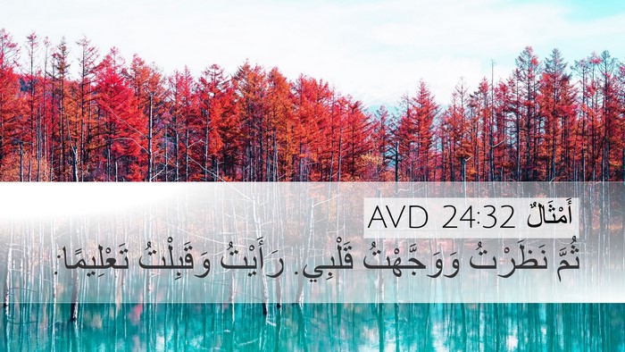 أَمْثَالٌ 24:32 AVD Desktop Wallpaper - ثُمَّ نَظَرْتُ - Desktop Bible Verse Wallpaper