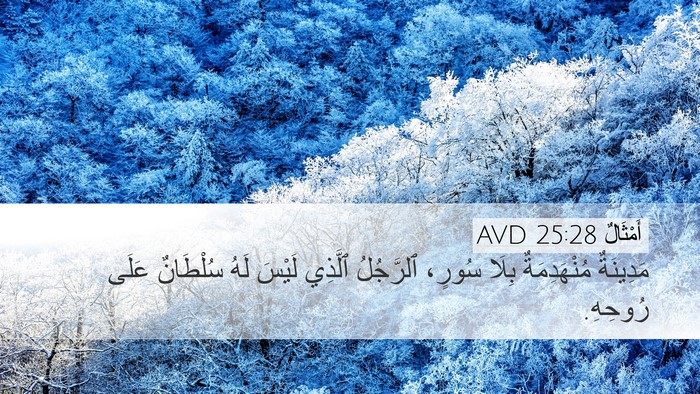أَمْثَالٌ 25:28 AVD Bible Verse Image