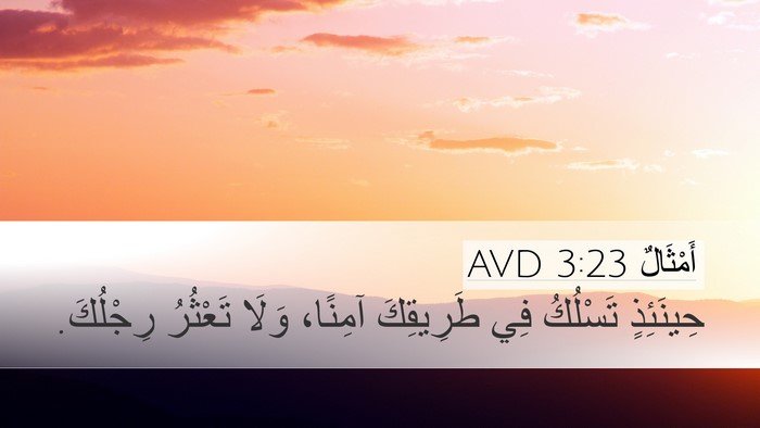 أَمْثَالٌ 3:23 AVD Bible Verse Image