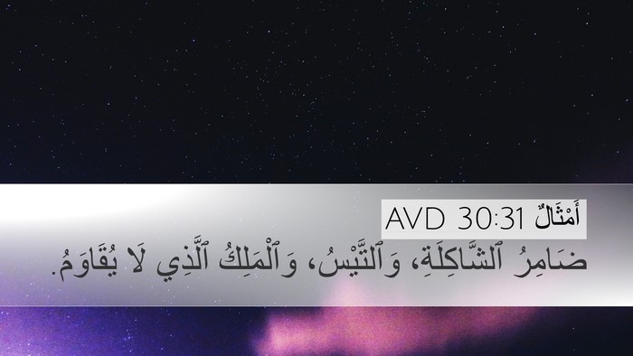 أَمْثَالٌ 30:31 AVD Bible Verse Image