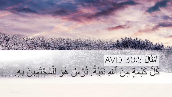 أَمْثَالٌ 30:5 AVD Bible Verse Image