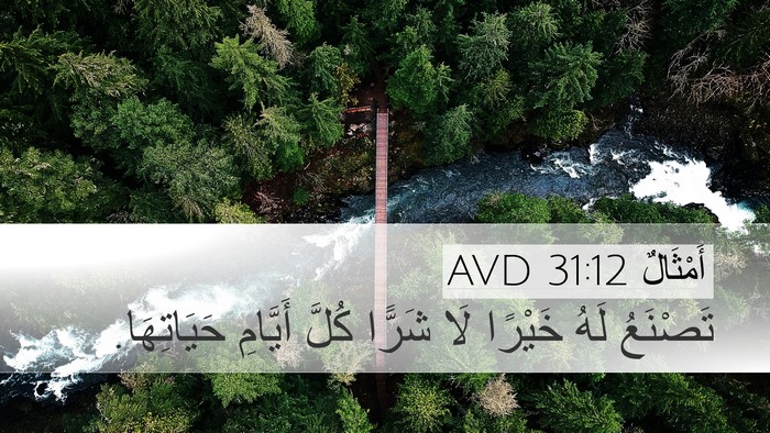أَمْثَالٌ 31:12 AVD Desktop Wallpaper - تَصْنَعُ لَهُ خَيْرًا لَا - Desktop Bible Verse Wallpaper