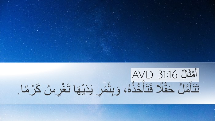 أَمْثَالٌ 31:16 AVD Desktop Wallpaper - تَتَأَمَّلُ حَقْلًا - Desktop Bible Verse Wallpaper