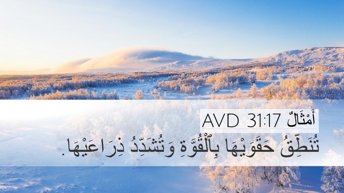 أَمْثَالٌ 31:17 AVD Desktop Wallpaper - تُنَطِّقُ حَقَوَيْهَا - Desktop Bible Verse Wallpaper