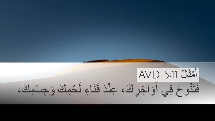 أَمْثَالٌ 5:11 AVD Desktop Wallpaper - فَتَنُوحَ فِي - Desktop Bible Verse Wallpaper