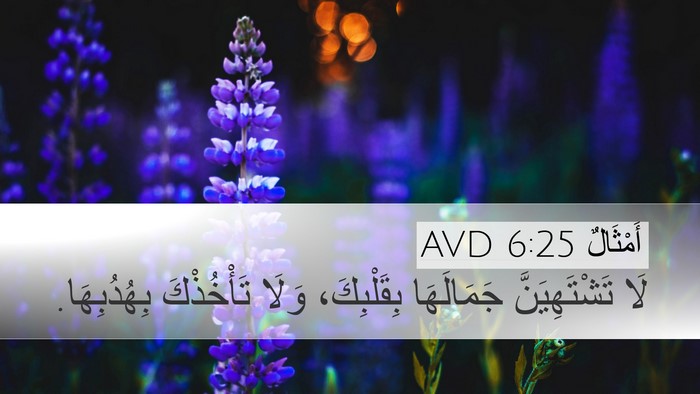 أَمْثَالٌ 6:25 AVD Bible Verse Image