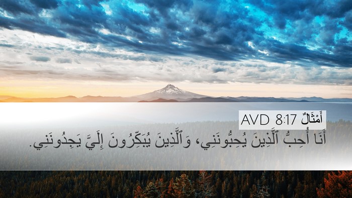 أَمْثَالٌ 8:17 AVD Bible Verse Image