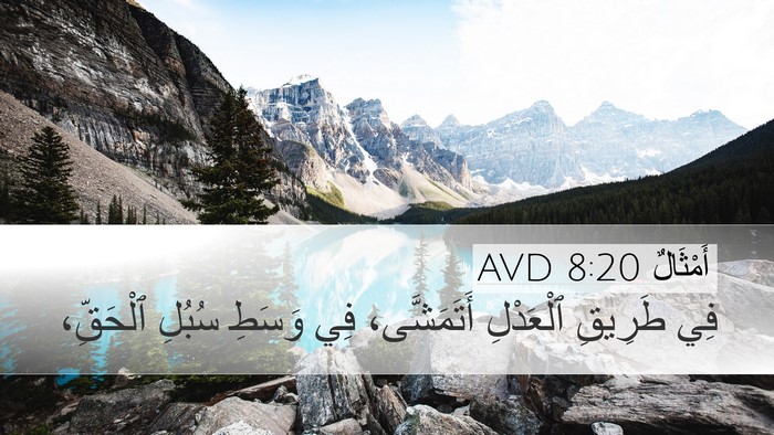 أَمْثَالٌ 8:20 AVD Bible Verse Image