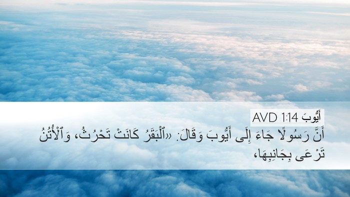 أَيُّوبَ 1:14 AVD Desktop Wallpaper - أَنَّ رَسُولًا جَاءَ إِلَى - Desktop Bible Verse Wallpaper