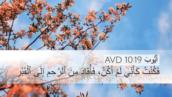 أَيُّوبَ 10:19 AVD Desktop Wallpaper - فَكُنْتُ كَأَنِّي لَمْ - Desktop Bible Verse Wallpaper