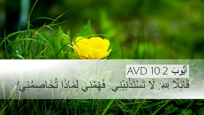 أَيُّوبَ 10:2 AVD Bible Verse Image