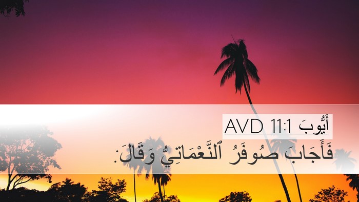 أَيُّوبَ 11:1 AVD Bible Verse Image