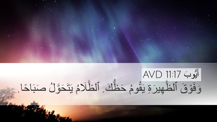 أَيُّوبَ 11:17 AVD Bible Verse Image
