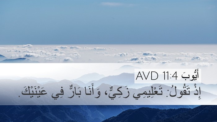 أَيُّوبَ 11:4 AVD Bible Verse Image