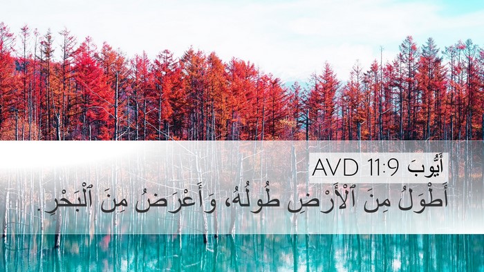 أَيُّوبَ 11:9 AVD Bible Verse Image
