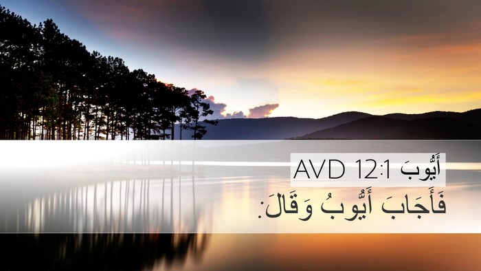 أَيُّوبَ 12:1 AVD Desktop Wallpaper - فَأَجَابَ أَيُّوبُ - Desktop Bible Verse Wallpaper