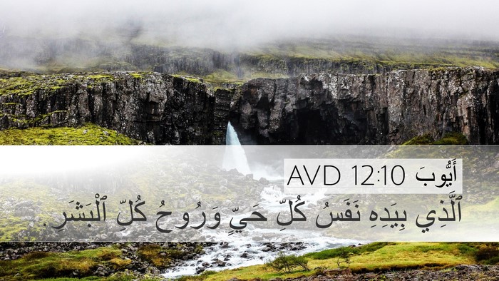 أَيُّوبَ 12:10 AVD Bible Verse Image
