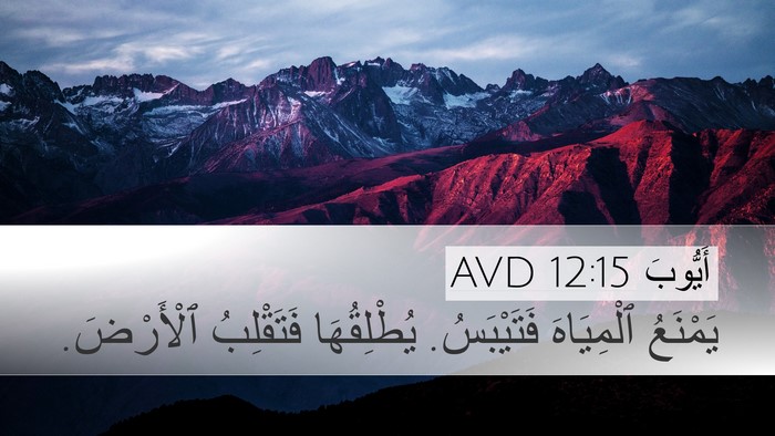 أَيُّوبَ 12:15 AVD Bible Verse Image