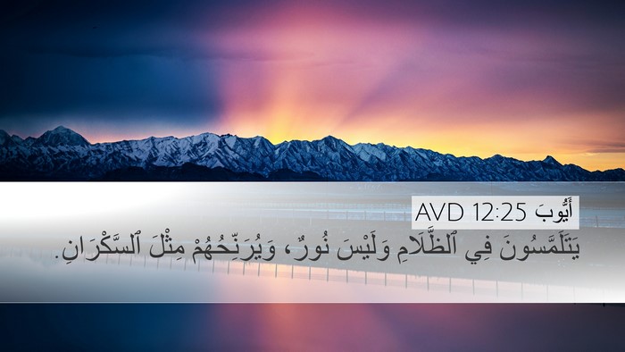 أَيُّوبَ 12:25 AVD Bible Verse Image