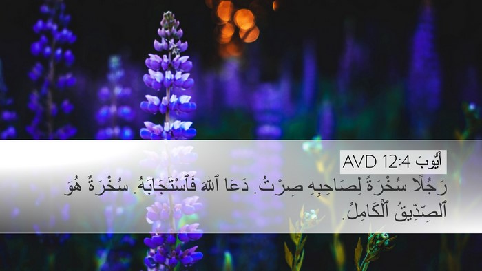 أَيُّوبَ 12:4 AVD Bible Verse Image