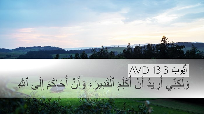 أَيُّوبَ 13:3 AVD Bible Verse Image