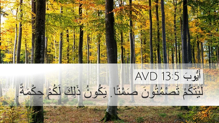 أَيُّوبَ 13:5 AVD Bible Verse Image
