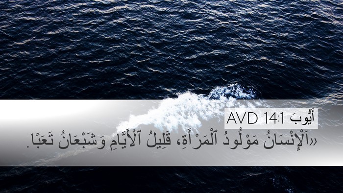 أَيُّوبَ 14:1 AVD Bible Verse Image