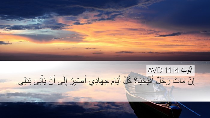 أَيُّوبَ 14:14 AVD Bible Verse Image