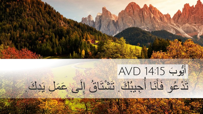 أَيُّوبَ 14:15 AVD Bible Verse Image