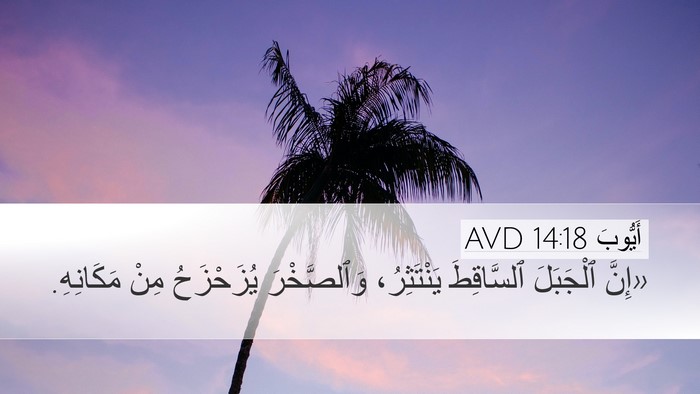 أَيُّوبَ 14:18 AVD Bible Verse Image