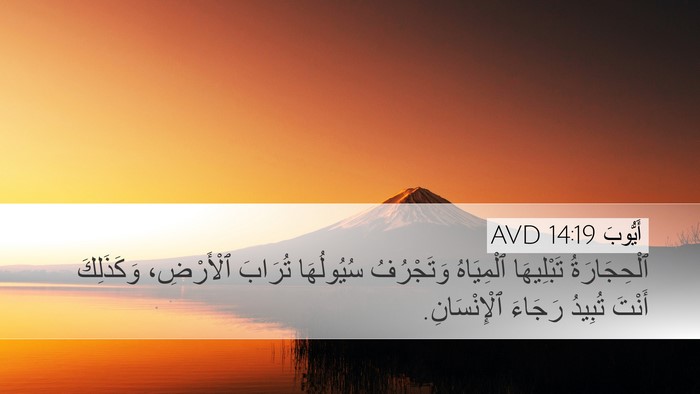 أَيُّوبَ 14:19 AVD Bible Verse Image