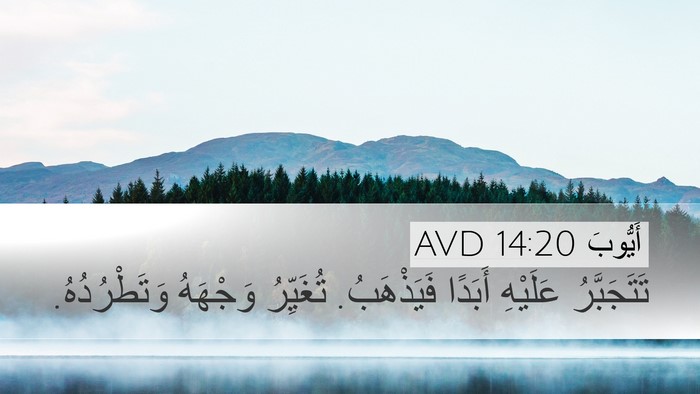 أَيُّوبَ 14:20 AVD Bible Verse Image