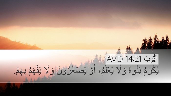 أَيُّوبَ 14:21 AVD Bible Verse Image