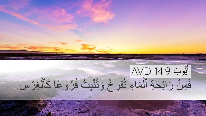 أَيُّوبَ 14:9 AVD Desktop Wallpaper - فَمِنْ رَائِحَةِ ٱلْمَاءِ - Desktop Bible Verse Wallpaper