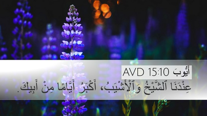 أَيُّوبَ 15:10 AVD Bible Verse Image