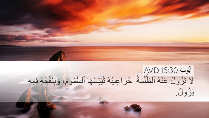 أَيُّوبَ 15:30 AVD Bible Verse Image